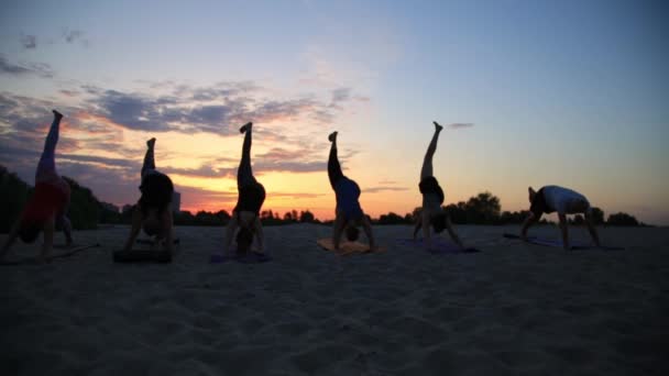 Mixed race group of people exercising yoga healthy lifestyle fitness warrior poses — Stock Video