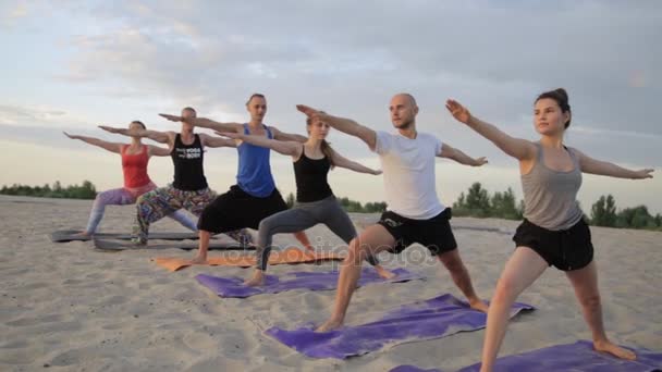 Mixte groupe de personnes faisant de l'exercice yoga mode de vie sain posture guerrière de fitness — Video