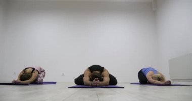 Yoga sınıf multi ırksal grup egzersiz fitness stüdyosu yoga asanas olarak sağlıklı yaşam tarzı