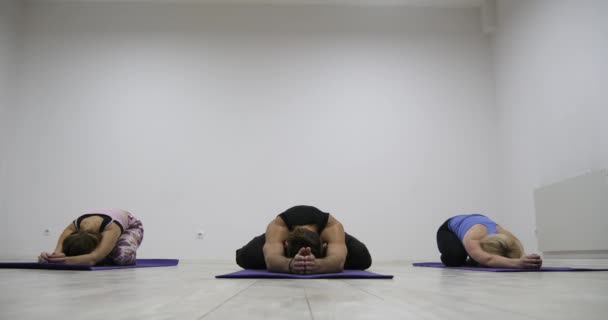 Yoga multi raciale klassegroep uitoefening van gezonde levensstijl in de fitness studio yoga asana 's — Stockvideo