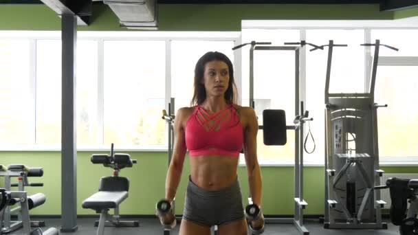Mujer de raza mixta delgada haciendo ejercicio con pesas en el gimnasio en cámara lenta — Vídeos de Stock