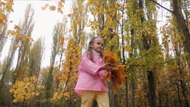 Funny, cheerful cute little girl jump throwing up a yellow autumn fallen leaves slow motion — Stock Video