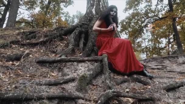 Woman with scary halloween make up in red dress sitting near tree in the forest park outdoors. — Stock Video
