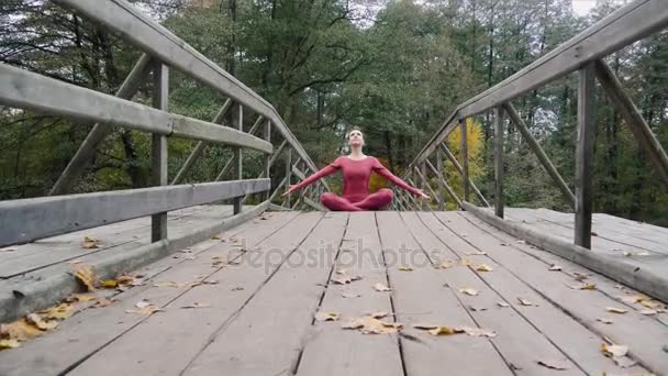 Mujer meditando practicando yoga en el bosque Padmasana asana. 4k cámara lenta — Vídeos de Stock