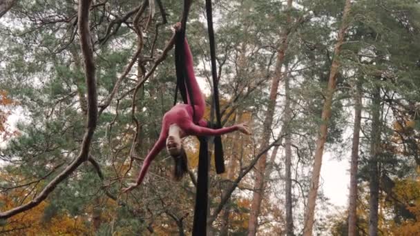 Kvinna acrobat hänger på antennen silke och visar en show av luft akrobatik i skogen. — Stockvideo