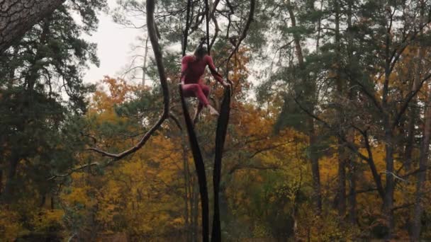 Donna acrobata appesa alla seta aerea e mostra uno spettacolo di acrobazie aeree nella foresta . — Video Stock