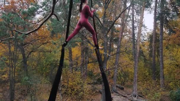 Donna acrobata appesa alla seta aerea e mostra uno spettacolo di acrobazie aeree nella foresta . — Video Stock