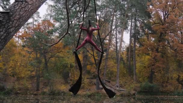 Nő az acrobat lóg a légi selyem és mutat egy show a légi akrobatika, egykerekű biciklik, az erdő. — Stock videók