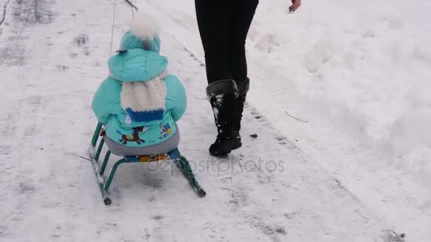 Rodinné sáně jízda přes sníh lesoparkem. Happy usmívající se matka táhne dítě syn na saně v zasněžených lesích, zábavné zimní prázdniny — Stock video