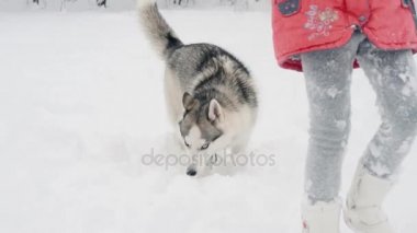 Genç kız açık havada ağır çekimde karda Siberian dış yapraklar köpekle oynamayı