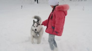 Genç kız açık havada ağır çekimde karda Siberian dış yapraklar malamute köpekle oynamayı