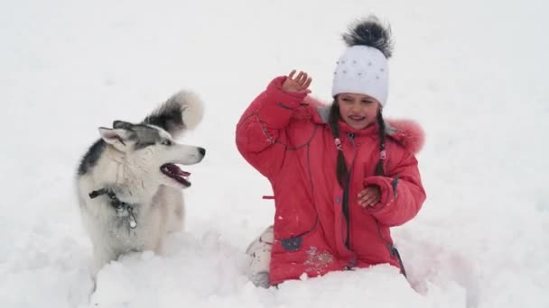 Jeune fille jouant avec chien malamute husky sibérien sur la neige à l'extérieur au ralenti — Video