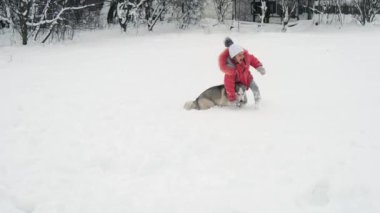 Genç kız açık havada ağır çekimde karda Siberian dış yapraklar malamute köpekle oynamayı