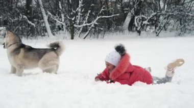Genç kız açık havada ağır çekimde karda Siberian dış yapraklar malamute köpekle oynamayı