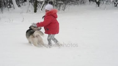 Genç kız açık havada ağır çekimde karda Siberian dış yapraklar malamute köpekle oynamayı