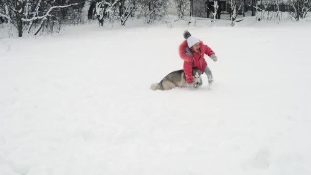 Młoda dziewczyna gra z siberian husky Malamut psa na śniegu na zewnątrz w zwolnionym tempie — Wideo stockowe