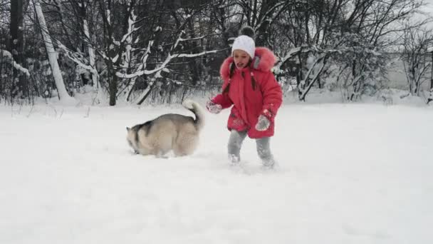 Ung flicka som leker med siberian husky malamute hunden på snö utomhus i slow motion — Stockvideo