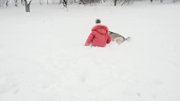 Menina brincando com siberiano husky malamute cão na neve ao ar livre em câmera lenta — Vídeo de Stock