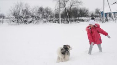Genç kız açık havada ağır çekimde karda Siberian dış yapraklar malamute köpekle oynamayı