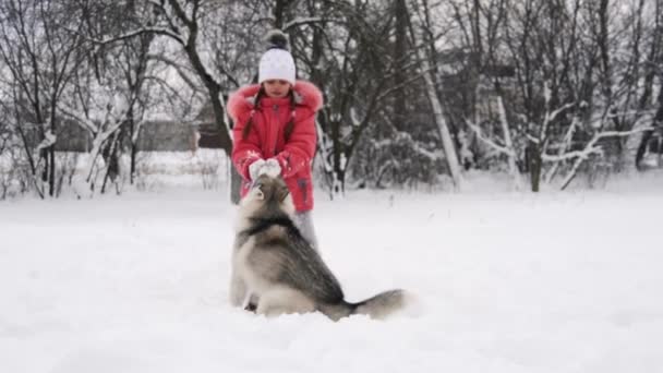 Chica joven jugando con perro husky malamute siberiano en la nieve al aire libre en cámara lenta — Vídeos de Stock