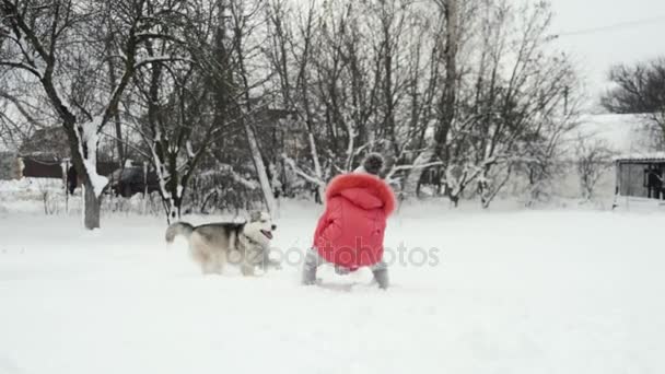Ung flicka som leker med siberian husky malamute hunden på snö utomhus i slow motion — Stockvideo