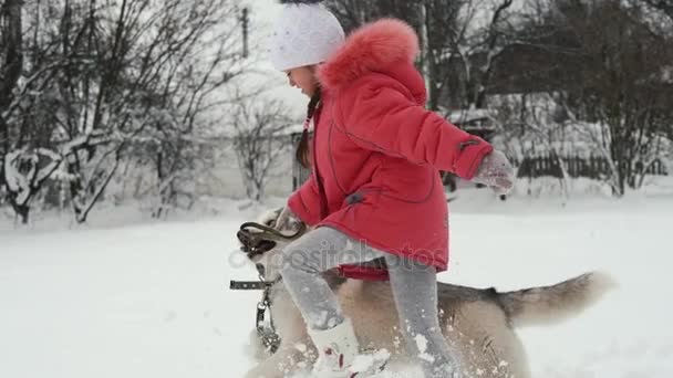 Mladá dívka si hraje s sibiřský husky malamut pes na sněhu venku v pomalém pohybu — Stock video