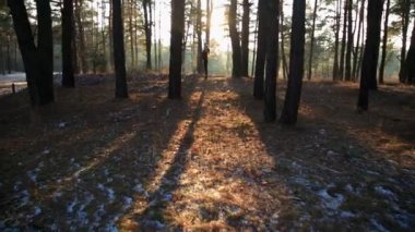 Sportif kadın Yoga nefes egzersizleri günbatımında yapıyor..
