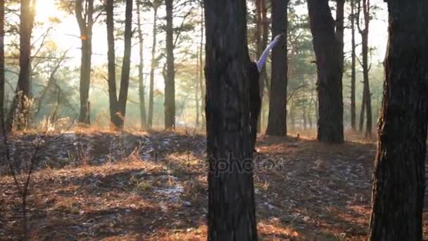 Sportieve vrouw doen yoga ademhalingsoefeningen bij zonsondergang. — Stockvideo