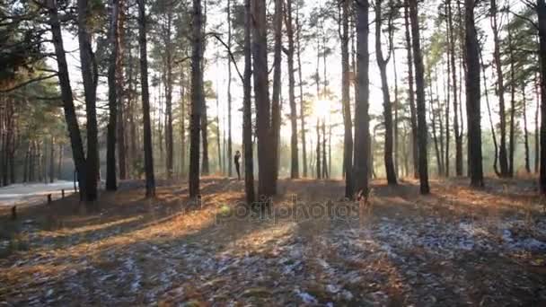 Sporty woman doing yoga breathing exercises at sunset. — Stock Video