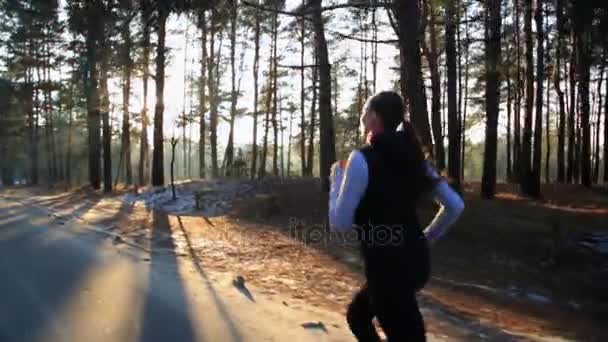 Jonge vrouw met een slank figuur is betrokken bij Turnen bij zonsopgang. Ze maakt een punt langs het bos. — Stockvideo