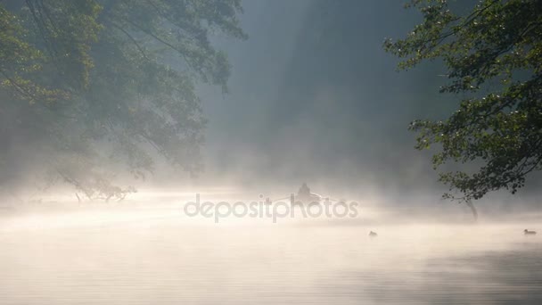 Lonely man with a paddle in the boat swimming on a calm river in dawn fog. The first rays of the morning sun make their way through the branches of trees — Stock Video