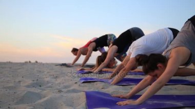 Karışık yarış grup egzersiz yoga sağlıklı yaşam fitness savaşçı pozlar insan