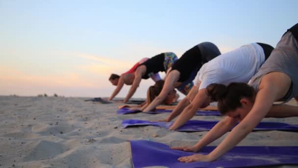 Gemengd ras groep mensen uitoefenen van yoga-houdingen in de warrior gezonde levensstijl fitness — Stockvideo