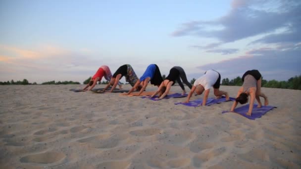 Grupo mixto de personas que practican yoga estilo de vida saludable fitness warrior poses — Vídeos de Stock