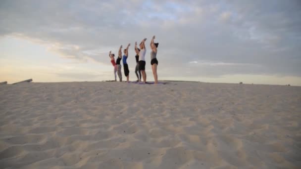 Karışık yarış grup egzersiz yoga sağlıklı yaşam fitness savaşçı pozlar insan — Stok video