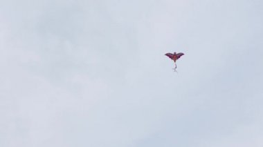 Mavi gökyüzünde uçan renkli kağıt Rüzgar Uçurtma.