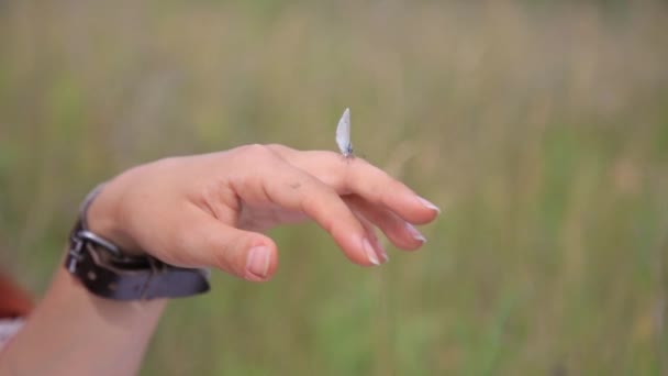 Borboleta sentado na mão da mulher . — Vídeo de Stock