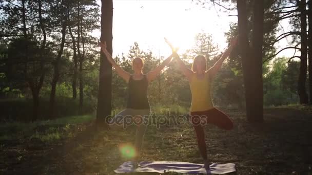 Дві дівчини медитують, практикуючи заняття фітнесом йоги на заході сонця в лісі. Повільний постріл зі стрілками . — стокове відео