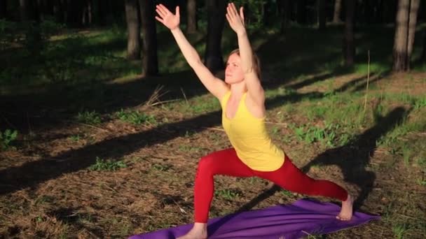 Chica practicando yoga estirándose al atardecer en el bosque. Movimiento lento — Vídeos de Stock