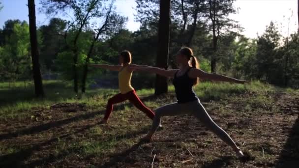 Dos chicas meditando practicando yoga fitness al atardecer en el bosque. Disparo de cámara lenta steadicam . — Vídeo de stock