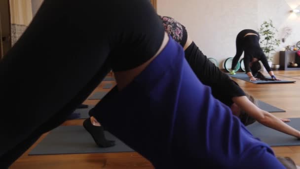 Yogales van mensen uit de gezonde levensstijl in de fitness studio yoga te oefenen. — Stockvideo