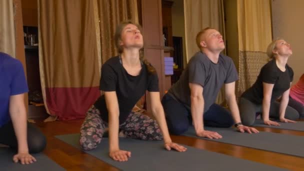 Lezione di yoga di persone che esercitano uno stile di vita sano in palestra yoga . — Video Stock