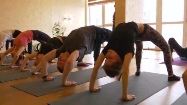 Lezione di yoga di persone che esercitano uno stile di vita sano in palestra yoga . — Video Stock