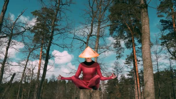 Frau im Wald praktiziert Yoga-Fitnessgymnastik mit traditionellem Hut — Stockvideo
