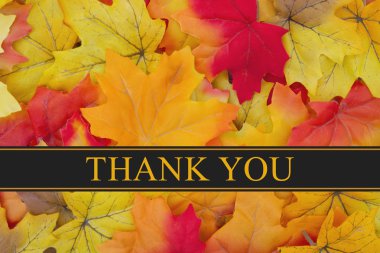 Teşekkürler mesaj.