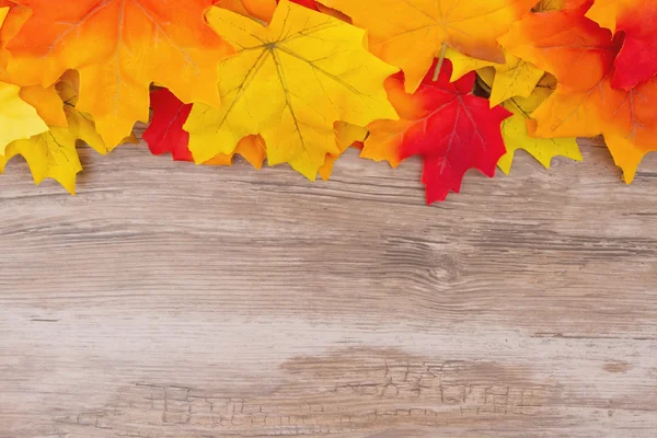 Höstens tid bakgrund — Stockfoto