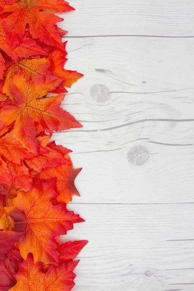 Hintergrund zur Herbstzeit — Stockfoto