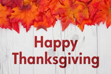 Şükran günün kutlu olsun tebrik