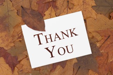 teşekkür ederim tebrik kartı