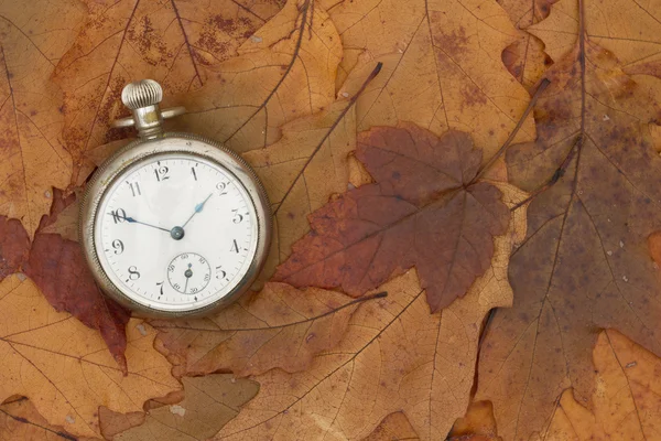 Um tempo para a queda — Fotografia de Stock